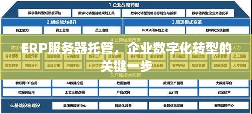ERP服务器托管，企业数字化转型的关键一步