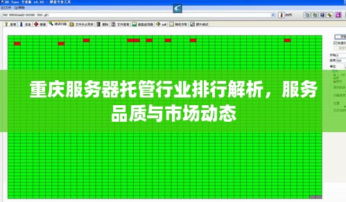 重庆服务器托管行业排行解析，服务品质与市场动态