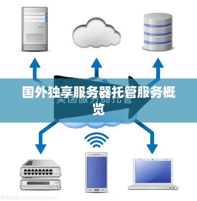 国外独享服务器托管服务概览