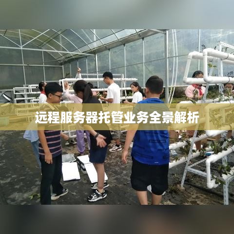 远程服务器托管业务全景解析