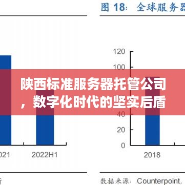 陕西标准服务器托管公司，数字化时代的坚实后盾