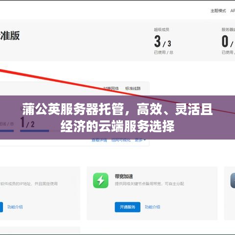 蒲公英服务器托管，高效、灵活且经济的云端服务选择