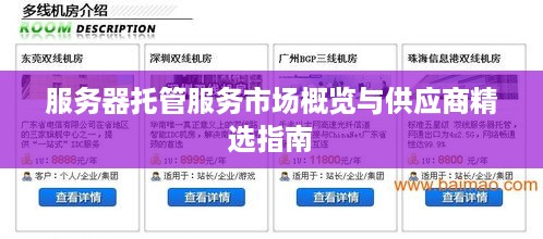 服务器托管服务市场概览与供应商精选指南