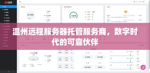 温州远程服务器托管服务商，数字时代的可靠伙伴