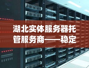 湖北实体服务器托管服务商——稳定、高效、可靠的技术支撑