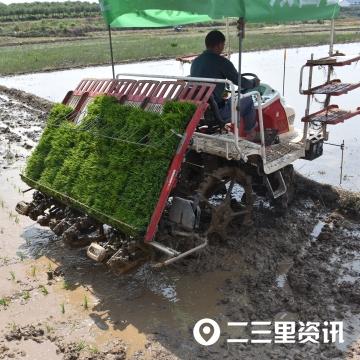 服务器托管服务市场的多元化探索