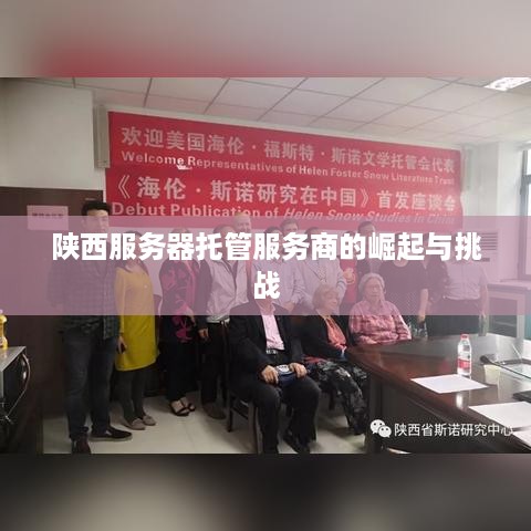 陕西服务器托管服务商的崛起与挑战