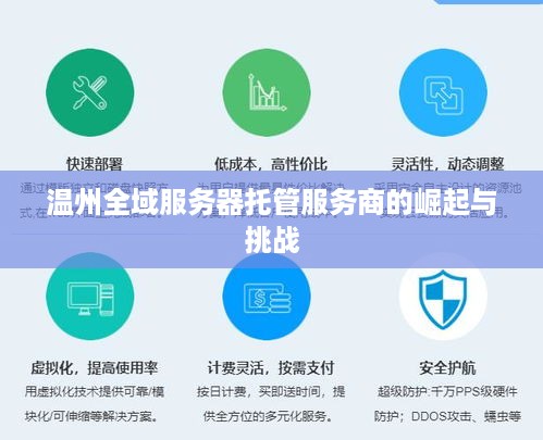 温州全域服务器托管服务商的崛起与挑战