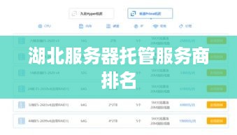 湖北服务器托管服务商排名