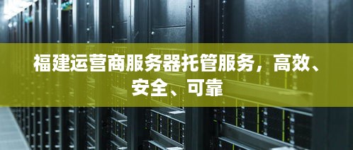 福建运营商服务器托管服务，高效、安全、可靠