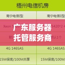 广东服务器托管服务商名单，精选服务与技术实力一览