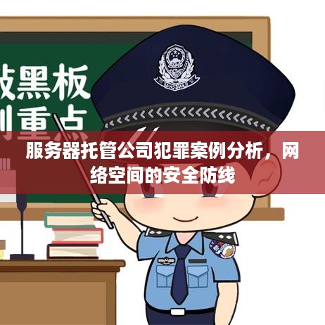 服务器托管公司犯罪案例分析，网络空间的安全防线