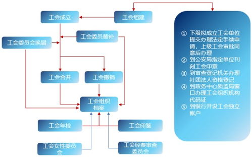 服务器托管收费标准文件，详解费用构成与计费策略