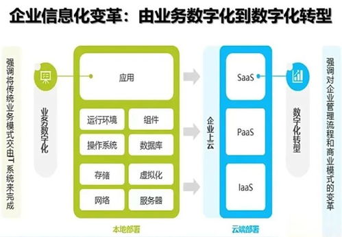 探索托管空间与服务器，企业成长的技术支柱