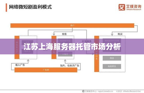 江苏上海服务器托管市场分析