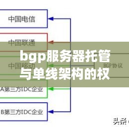 bgp服务器托管与单线架构的权衡