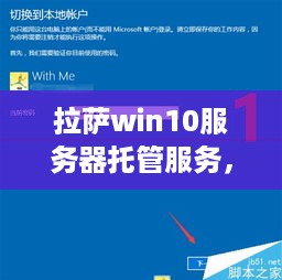 拉萨win10服务器托管服务，稳定高效，为您的业务保驾护航