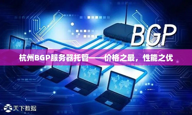 杭州BGP服务器托管——价格之最，性能之优