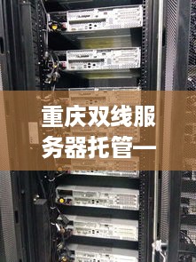 重庆双线服务器托管——经济实惠的互联网基础