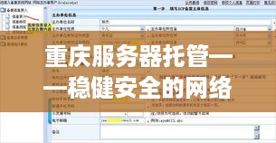 重庆服务器托管——稳健安全的网络空间守护者