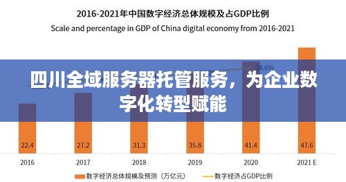 四川全域服务器托管服务，为企业数字化转型赋能