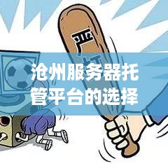 沧州服务器托管平台的选择与考量