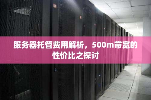 服务器托管费用解析，500m带宽的性价比之探讨