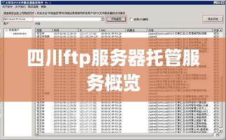 四川ftp服务器托管服务概览