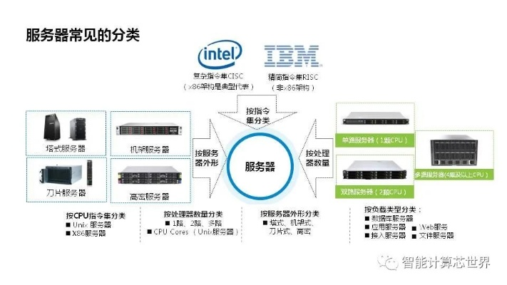 服务器托管类别概述，从基础到高级的全面指南