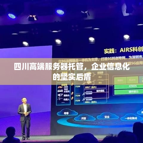 四川高端服务器托管，企业信息化的坚实后盾