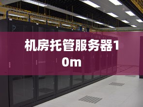 机房托管服务器10m