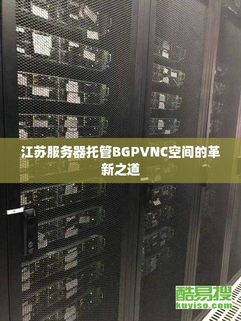 江苏服务器托管BGPVNC空间的革新之道