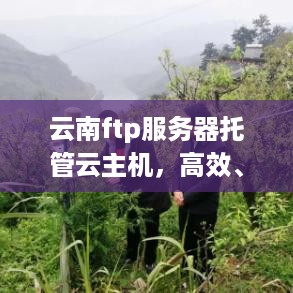 云南ftp服务器托管云主机，高效、稳定与成本效益