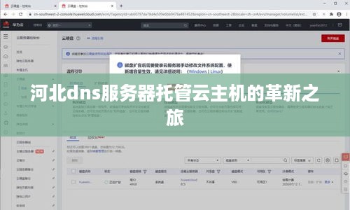 河北dns服务器托管云主机的革新之旅