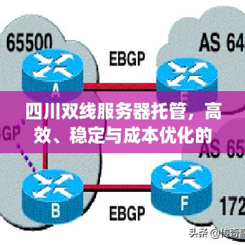 四川双线服务器托管，高效、稳定与成本优化的完美结合