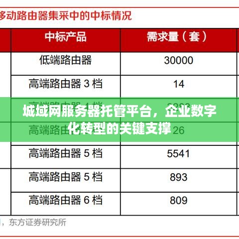 城域网服务器托管平台，企业数字化转型的关键支撑