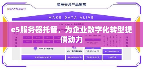 e5服务器托管，为企业数字化转型提供动力