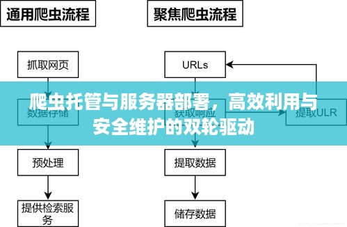 爬虫托管与服务器部署，高效利用与安全维护的双轮驱动