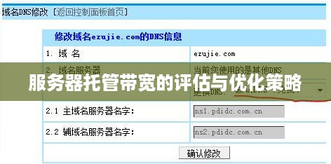 服务器托管带宽的评估与优化策略