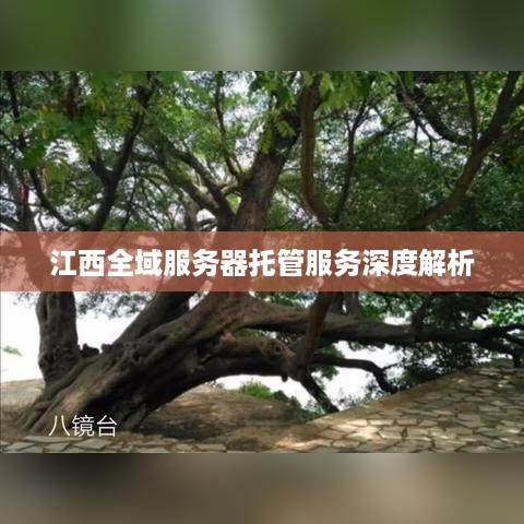 江西全域服务器托管服务深度解析