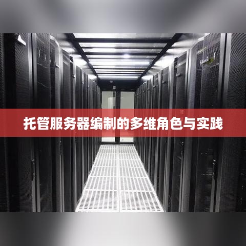 托管服务器编制的多维角色与实践