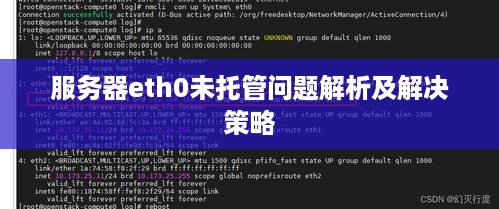 服务器eth0未托管问题解析及解决策略