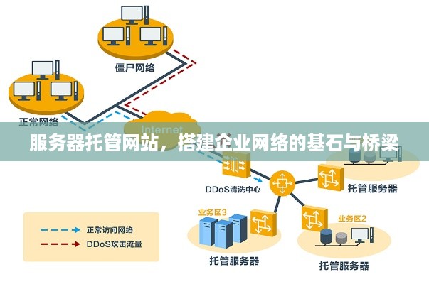 服务器托管网站，搭建企业网络的基石与桥梁