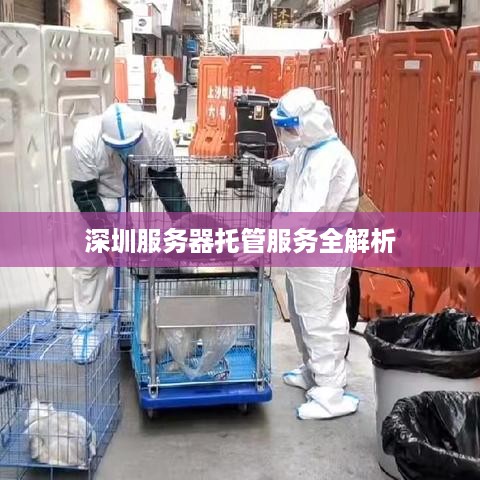 深圳服务器托管服务全解析