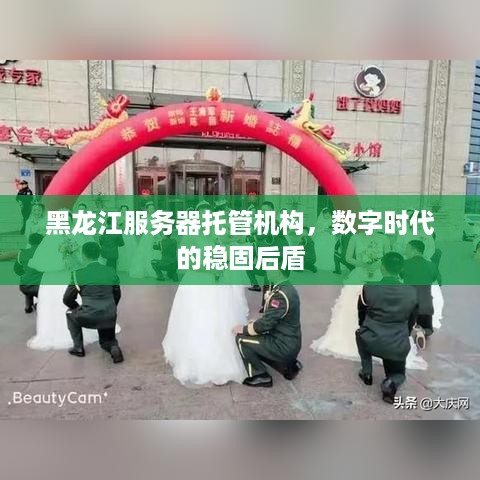 黑龙江服务器托管机构，数字时代的稳固后盾