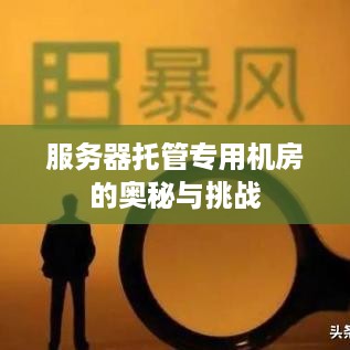 服务器托管专用机房的奥秘与挑战