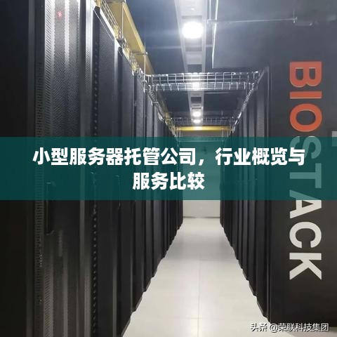 小型服务器托管公司，行业概览与服务比较