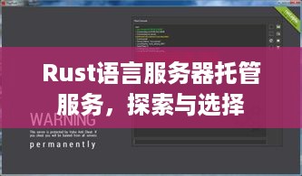 Rust语言服务器托管服务，探索与选择