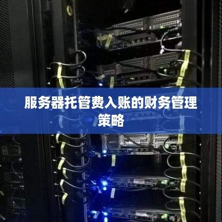 服务器托管费入账的财务管理策略