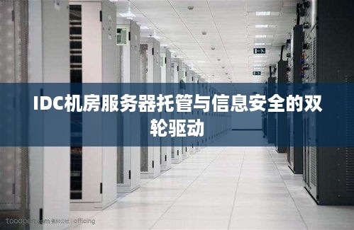 IDC机房服务器托管与信息安全的双轮驱动